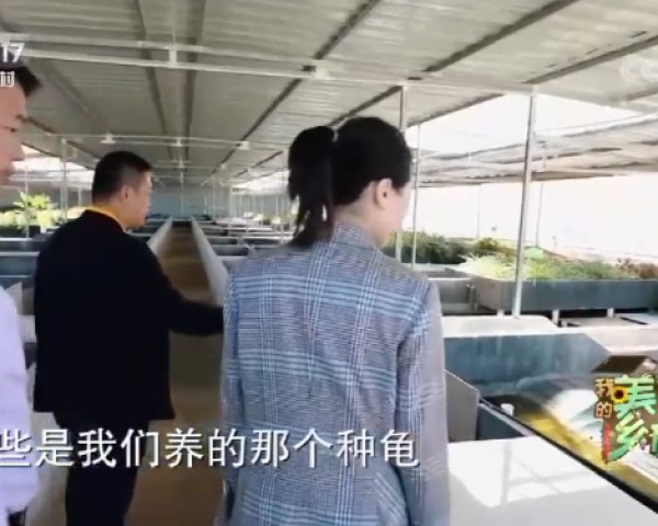 CCTV17我的美丽乡村