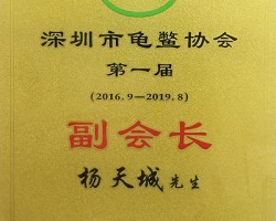 深圳市龟鳖协会副会长（...